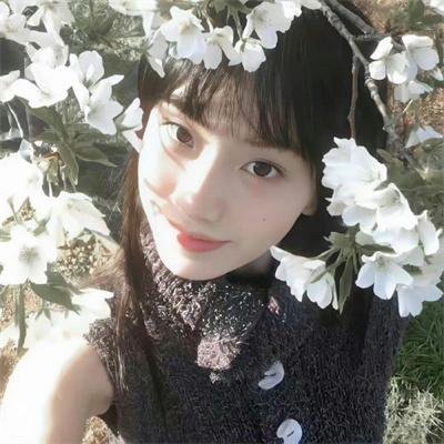 美杜莎